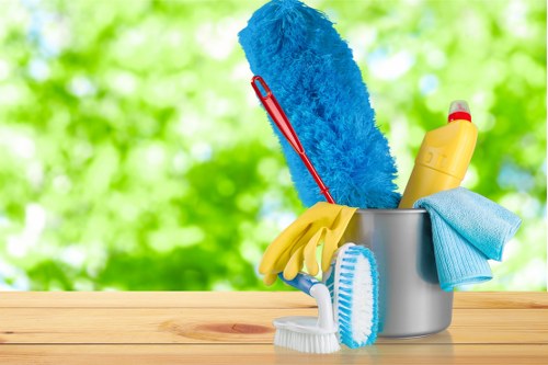 Professional sofa cleaning process with upholstery care