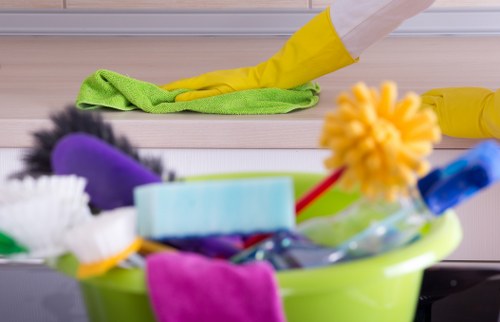 Professional carpet cleaning in a home living room