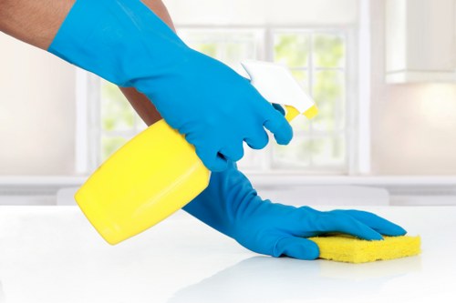 Domestic cleaning setup with cleaning tools in a bright home