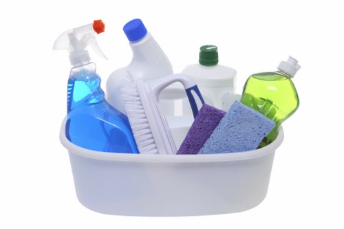Organized home cleaning supplies used for domestic cleaning