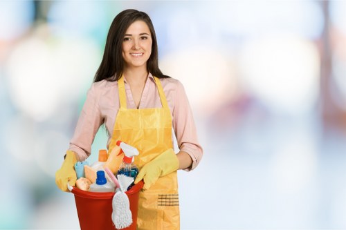 Modern commercial cleaning tools and disinfecting equipment