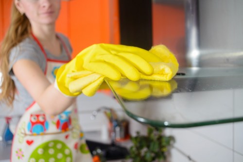 Professional cleaning of a kitchen at the end of tenancy