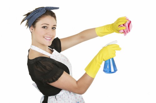 Clean glass and streak-free windows after professional cleaning