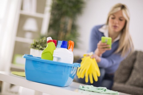 Organized house cleaning routine with supplies