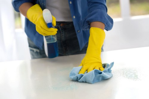 Close-up of oven racks and trays during deep cleaning