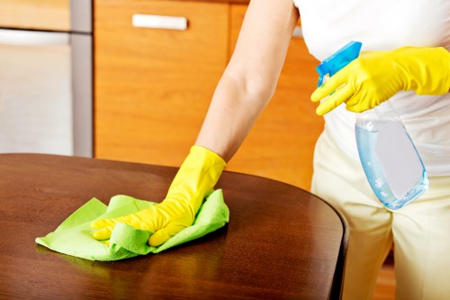 Room-by-room move in cleaning checklist concept