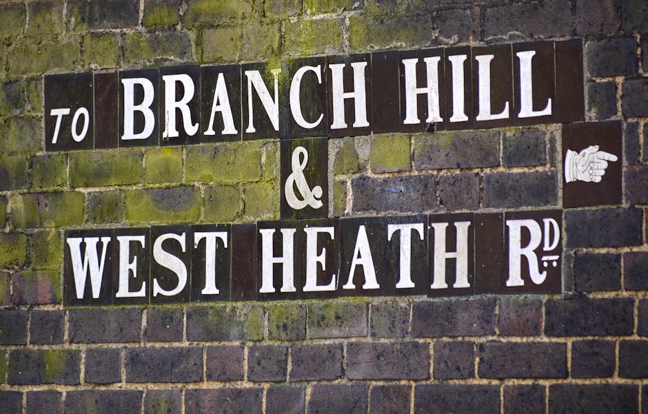 A close-up photograph of a brick wall with moss and weathering, displaying a street sign with white text on dark background reading 'TO BRANCH HILL & WEST HEATH RD'. The sign consists of several indiv